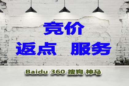 某SEM公司广告投放案例：创新广告形式的探索与实践